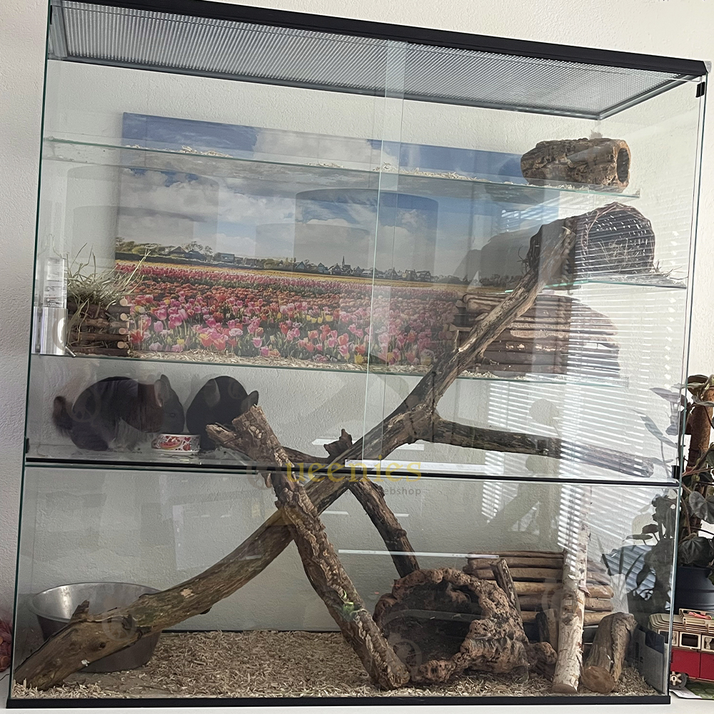 Wijnrank gezandstraald,XL